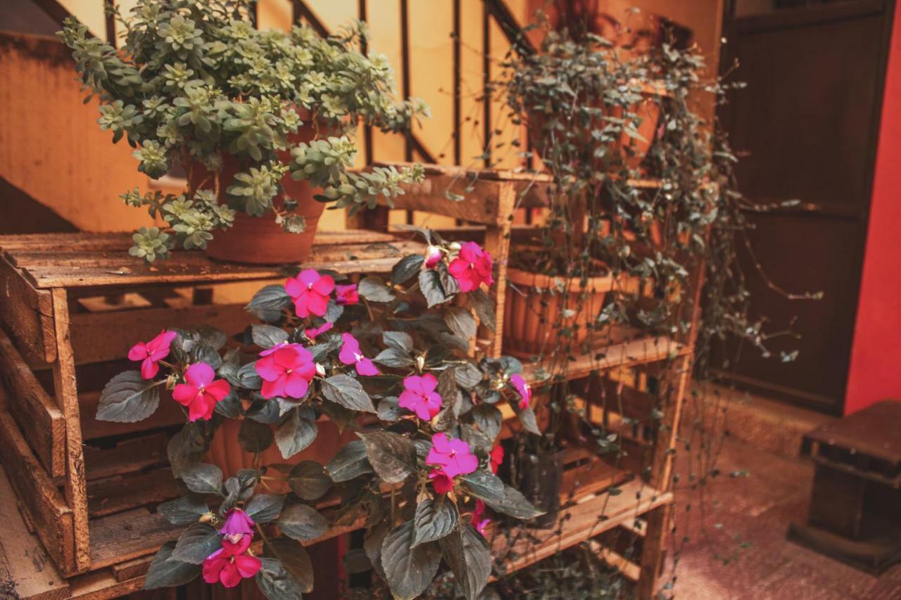 Colors House Hostel ซูเกร ภายนอก รูปภาพ